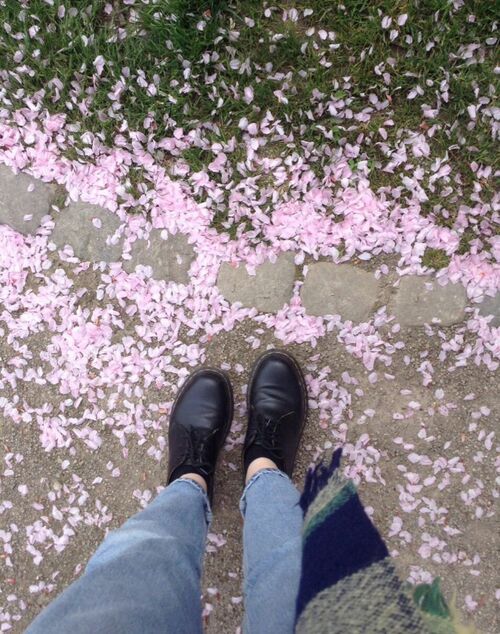 Pink Flowers Aesthetic | Korean Aesthetic Amino