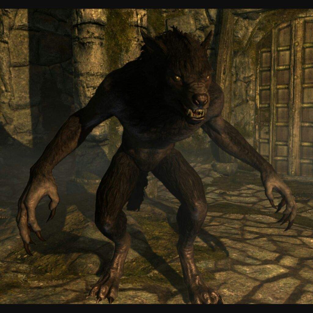 Does being a werewolf affect your appearance if you're a argonian ...