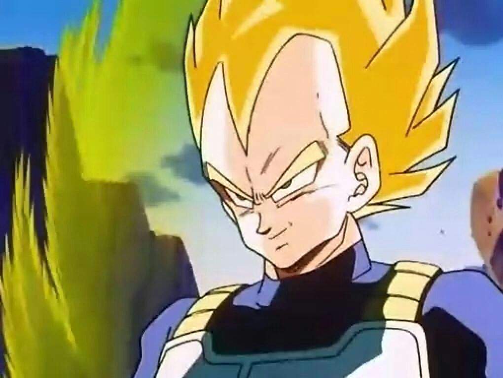 vegeta the 3rd