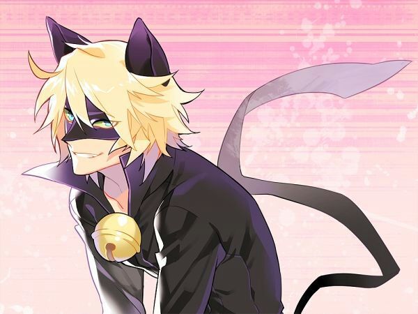 Felix As Chat Noir Anime Amino