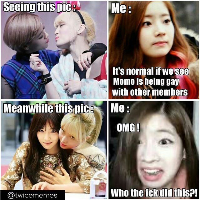 Twice Memes K Pop Amino