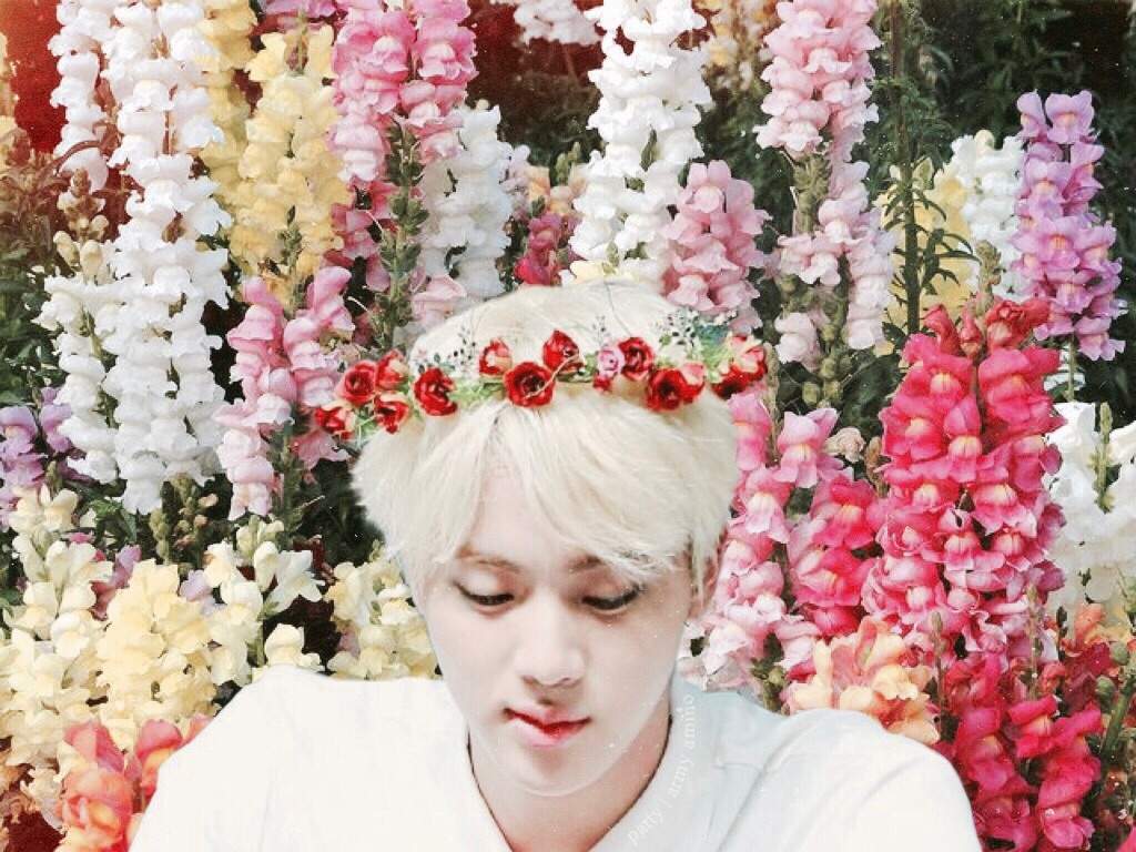 [Reply] BTS As Natural Entities | ARMY's Amino