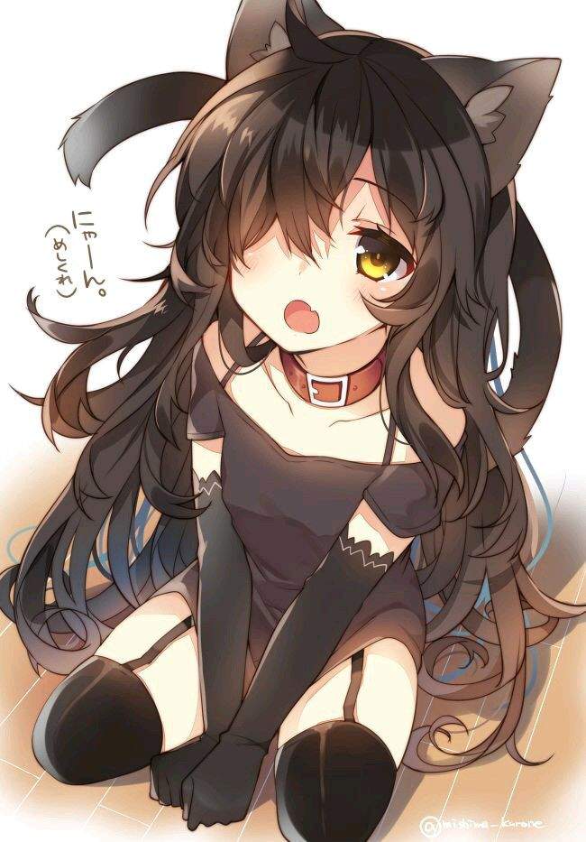 What Is Neko Chan In Japanese