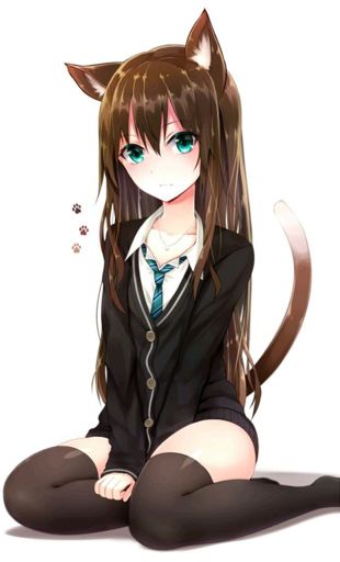 →Neko-chan← | Wiki | •Anime• Amino