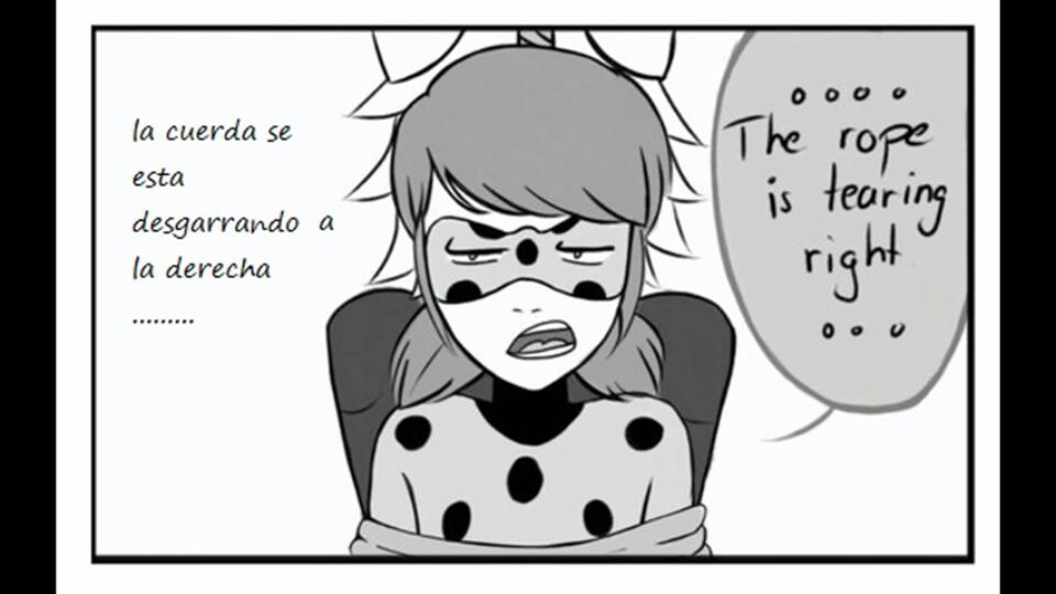 Comics Miraculous | •Miraculous Ladybug Español• Amino