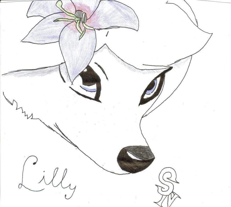 Lilli | Wiki | Cartoon Amino Español Amino