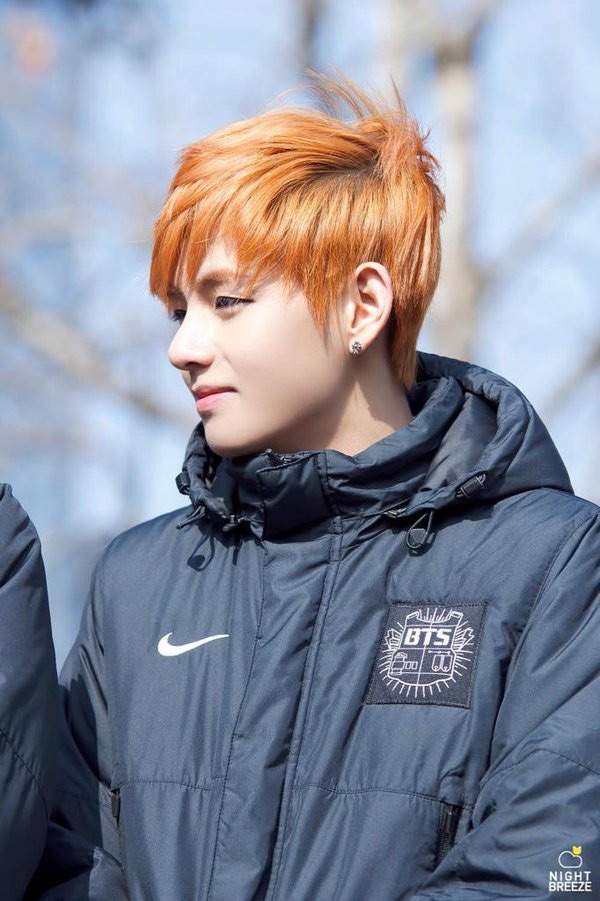 Taehyung Orange Hair Appreciation Post | ARMY's Amino