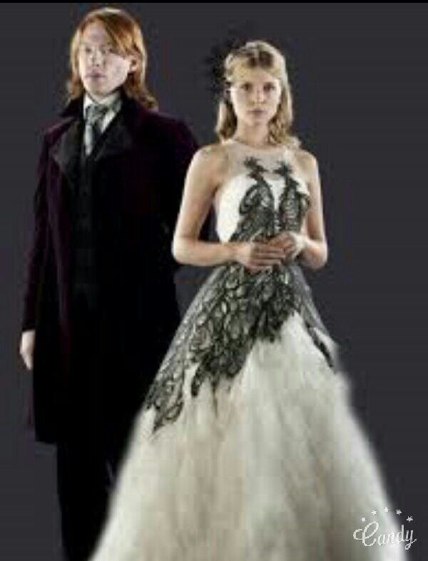 Bill Weasley •Harry Potter• Español Amino