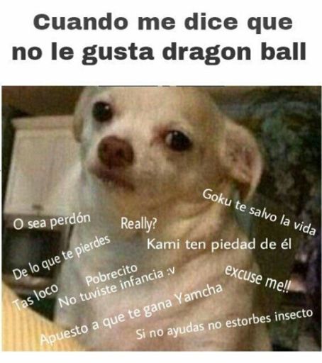 Literal | DRAGON BALL ESPAÑOL Amino