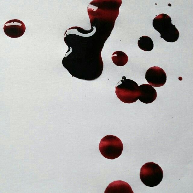 Blood Aesthetic | Wiki | Simple Equality Amino
