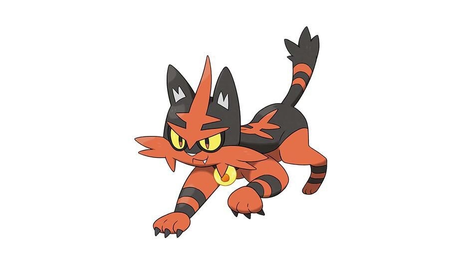 Torracat | Wiki | •Pokémon• En Español Amino