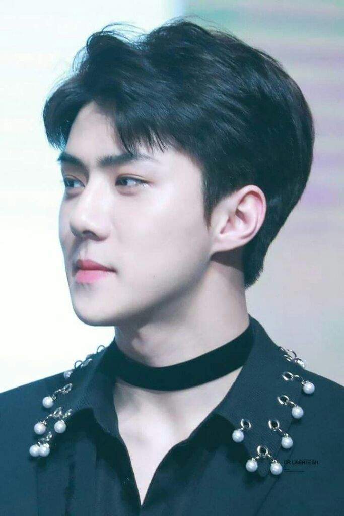 SeHun | •Corea• Amino Amino