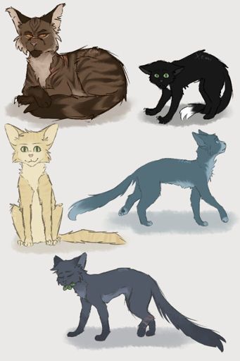 Warrior Cat doodles 1 | Warriors Amino