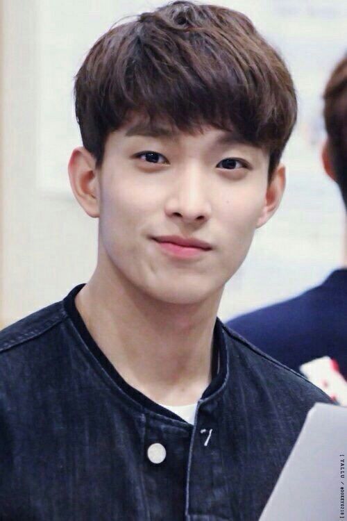 Seokmin Dk Appreciation Seventeen Amino Amino