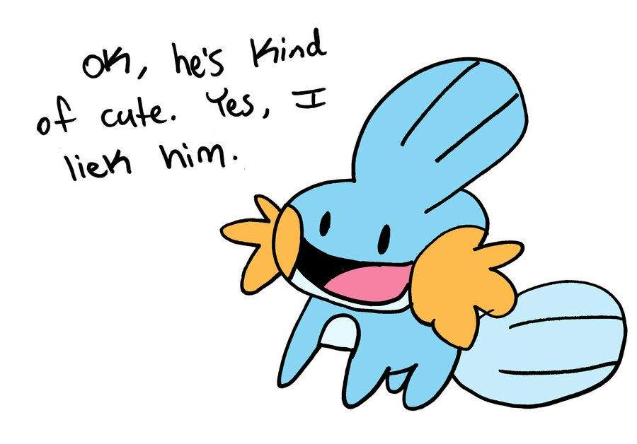 mudkip memes | Pokémon Amino