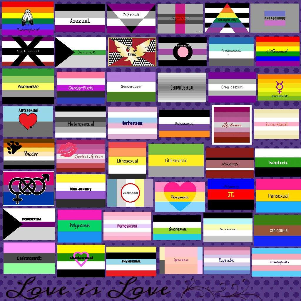 All lgbtqa+ | Ace Alliance Amino