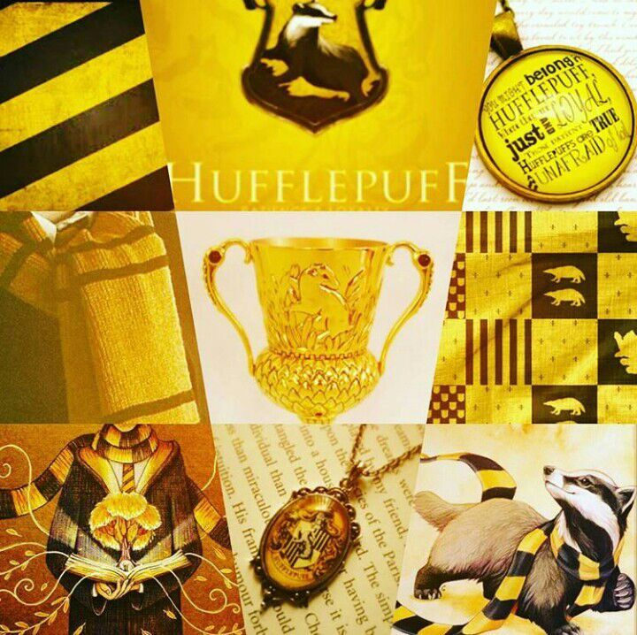 Hufflepuf | •Harry Potter• Español Amino