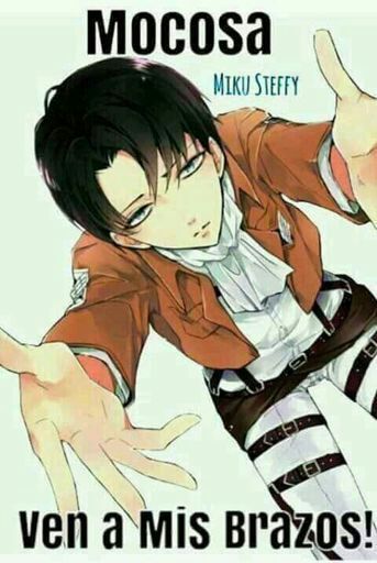 Levi Ackerman | Wiki | •Shingeki No Kyojin [es]• Amino