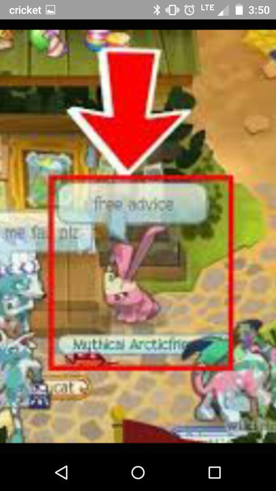 animal jam funny pics