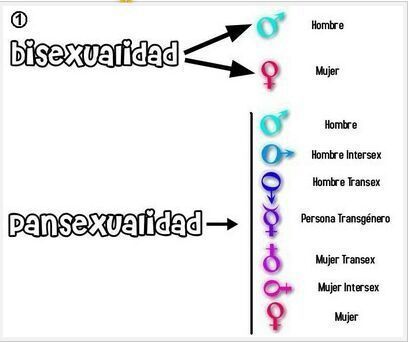 ¿Bisexualidad o Pansexualidad? 🤔 | LGBT+ ♡ Amino