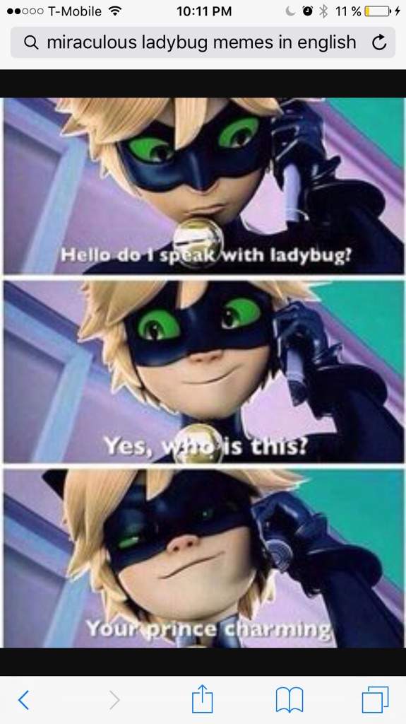 Yes Chat Noir Yes Miraculous Amino