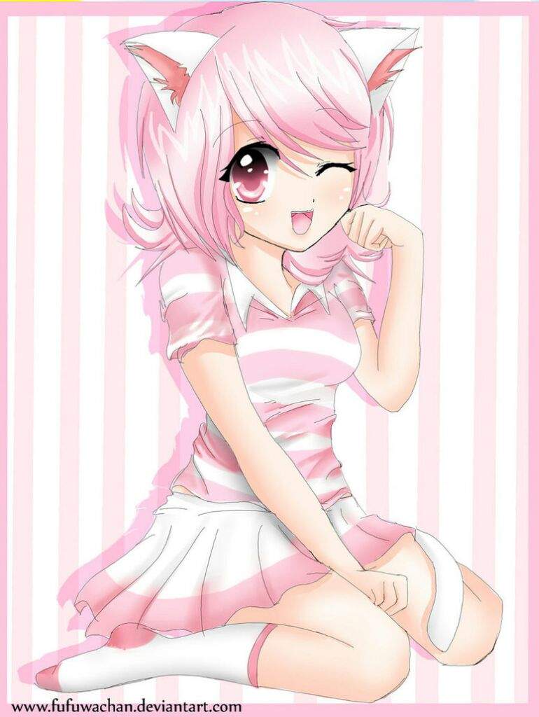 Nekos Kawaii Mujeres Wiki Anime Amino