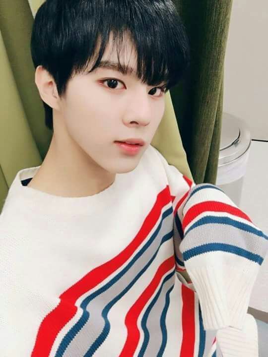 Kim Woo Seok (김 오 식) | Wiki | K-Pop Amino