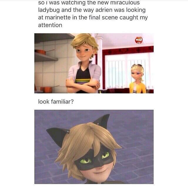 Do you think Adrien has a crush on Marinette ? | Miraculous Amino