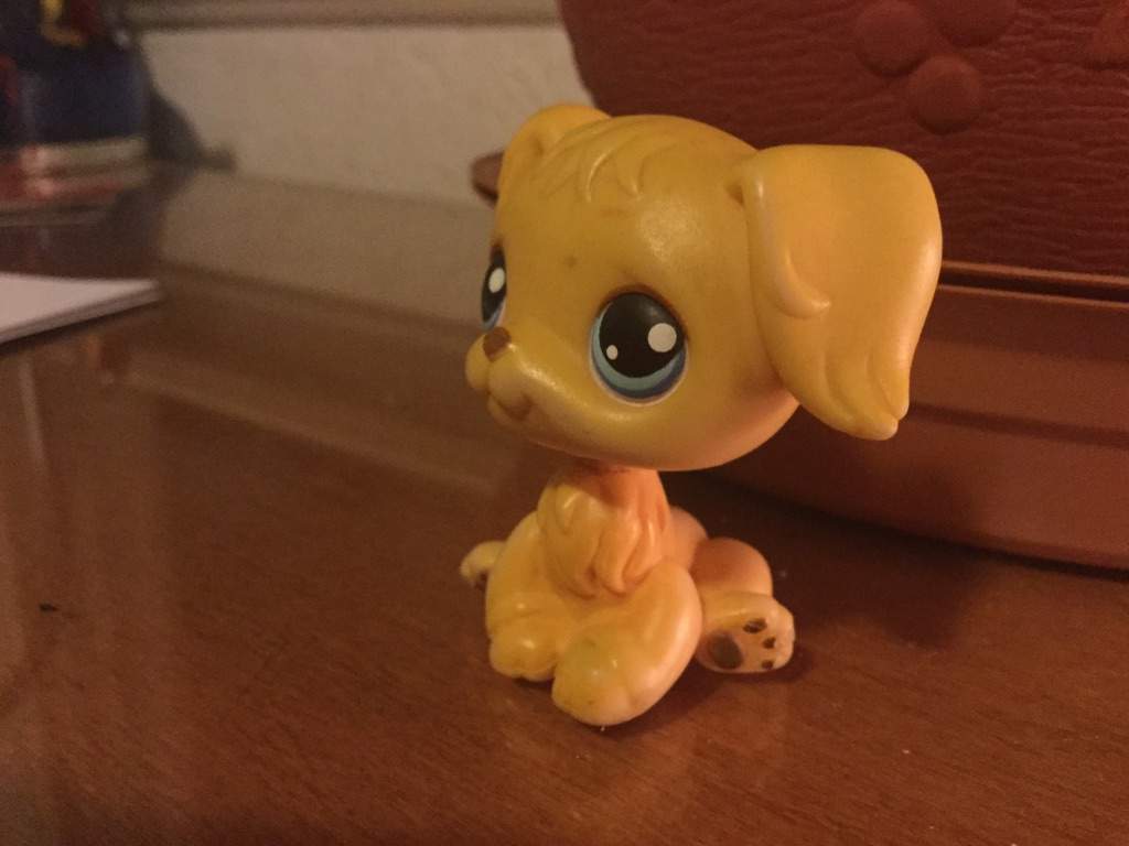 Noah | Wiki | littlest pet shop amino Amino