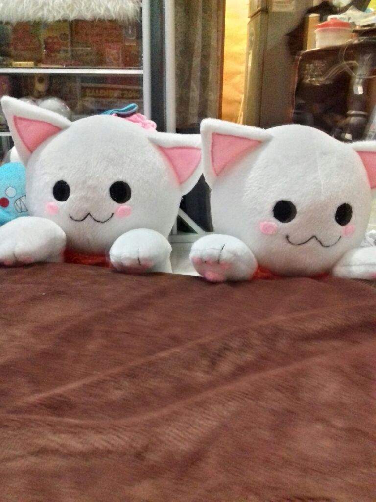 mystic messenger zen plush