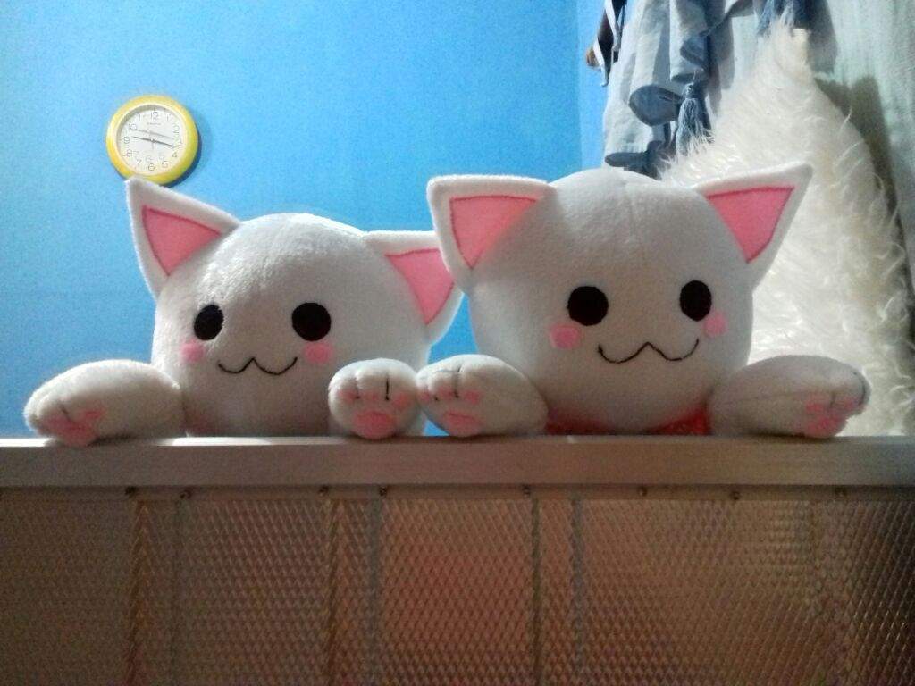 cat plush long