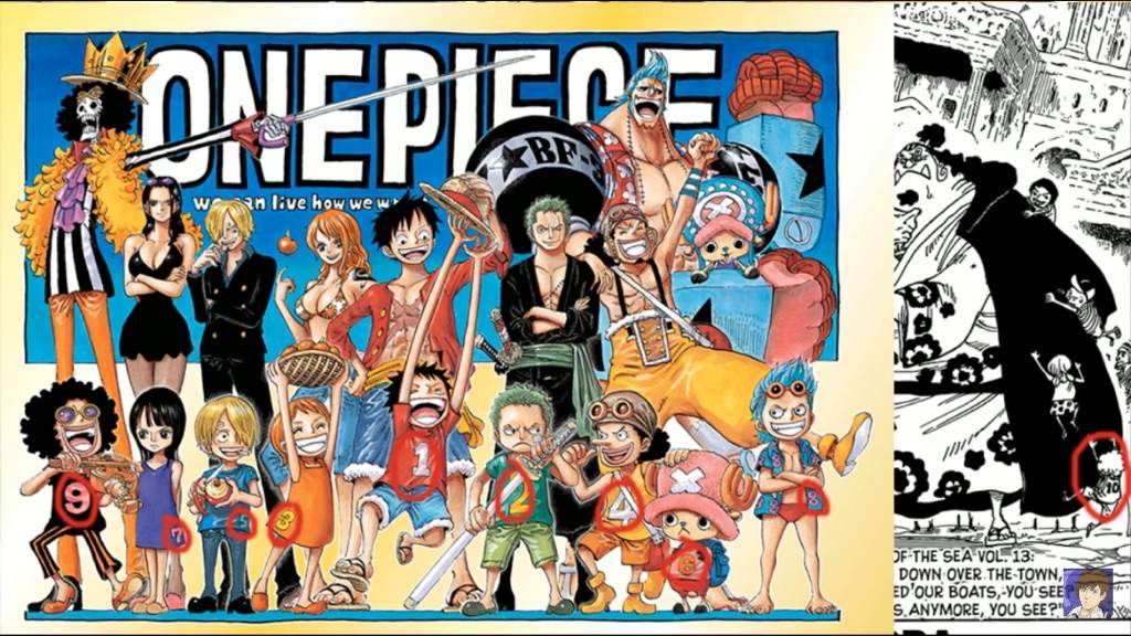 New Straw Hat Pirate One Piece Amino