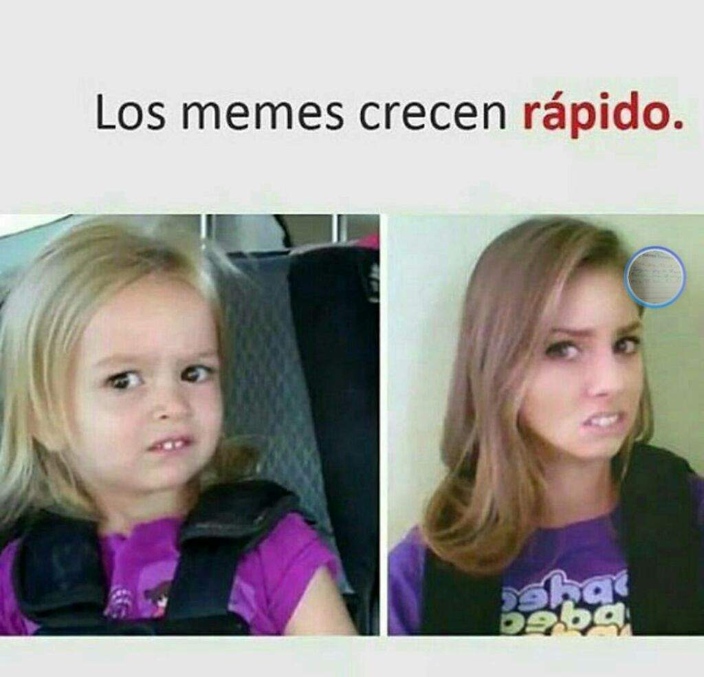 Mas memes wiiii | •Anime• Amino