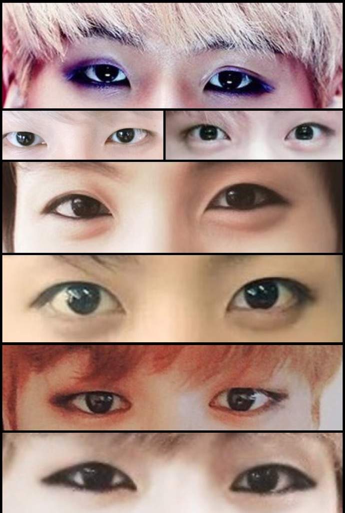 BTS Eye Study.