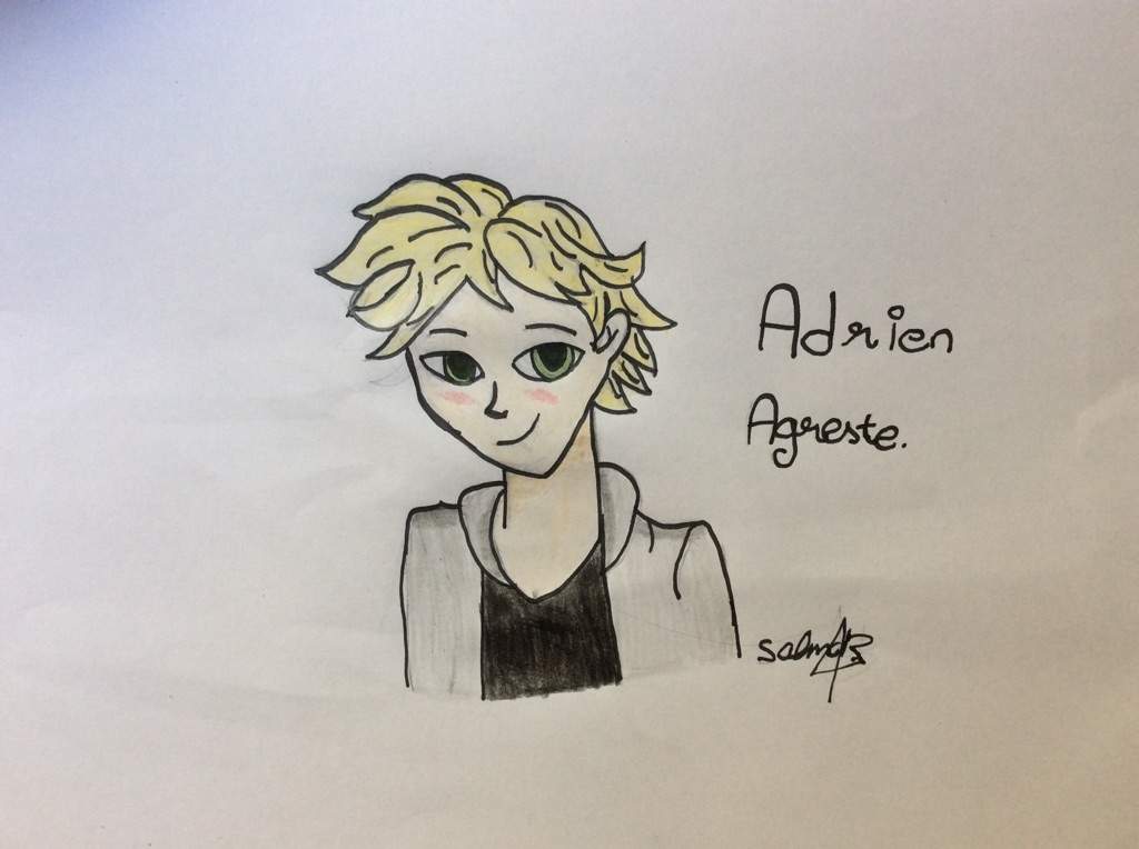 Adrien Agreste •miraculous Ladybug Español• Amino 