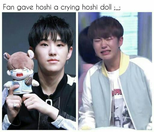 Hoshi Crying Doll | Hoshi Amino Amino