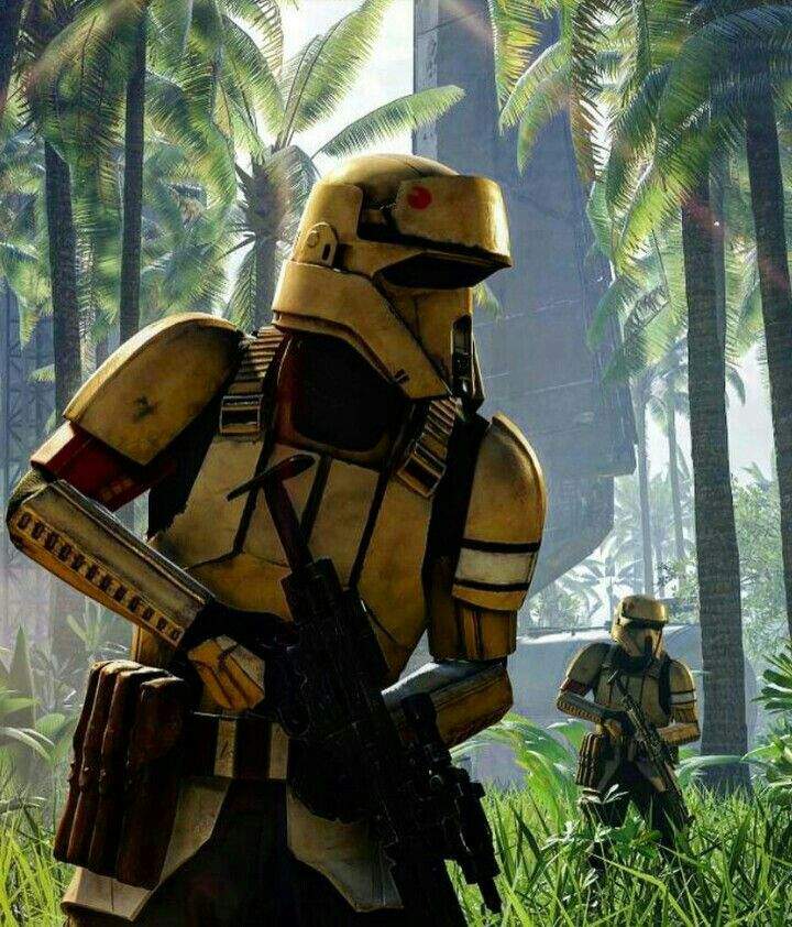 Death Trooper or Shore Trooper | Star Wars Amino