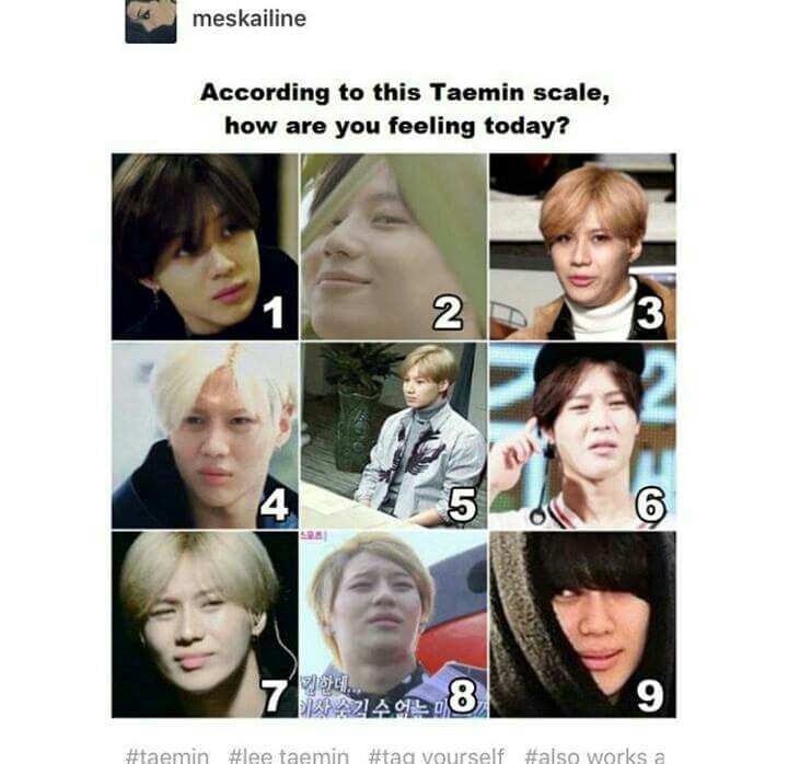 Shinee memes pt.2 | K-Pop Amino