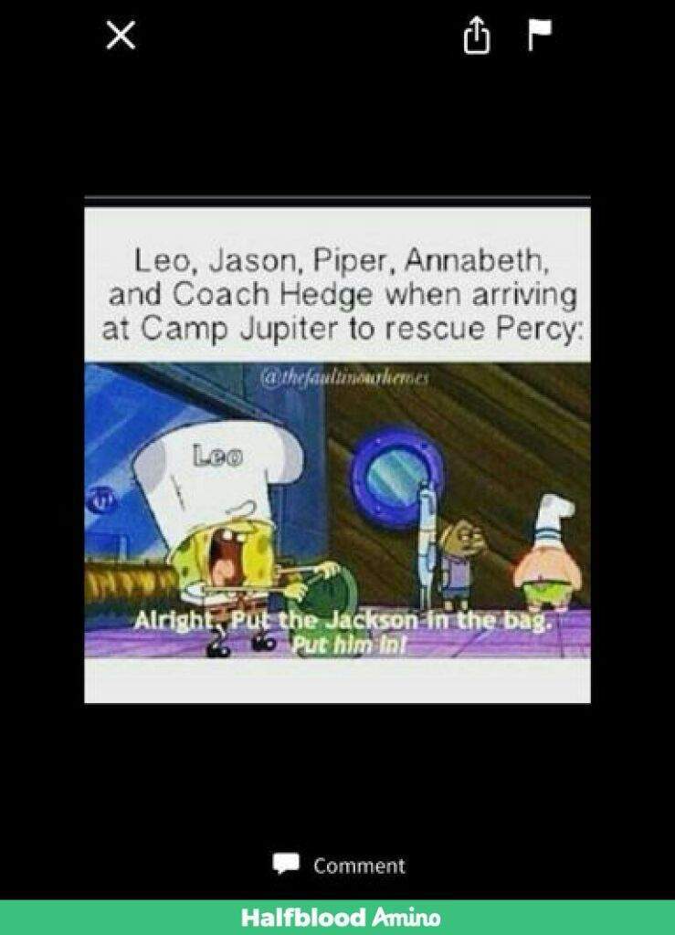 Spongebob Percy Jackson Stuff 