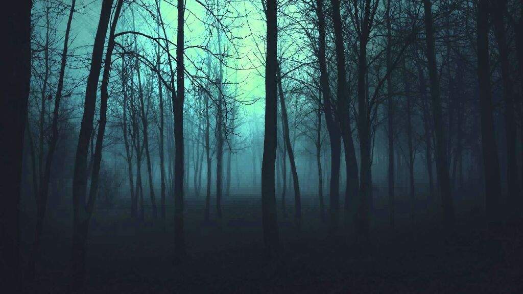 Los Bosques Mas tenebroso Del Mundo | Mundo Secreto Amino