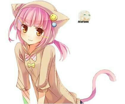 Neko girl | Wiki | •Anime• Amino