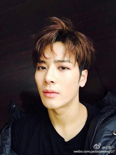 Wang Jia Er | Wiki | Jackson Wang Amino