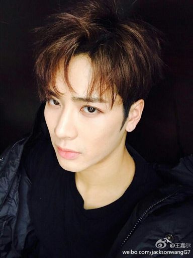 Wang Jia Er | Wiki | Jackson Wang Amino