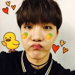 hoseok the duckling my bro for a lifetime