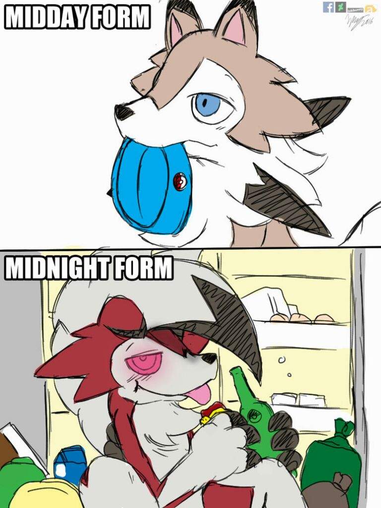 midday-form-vs-midnight-form-pok-mon-amino