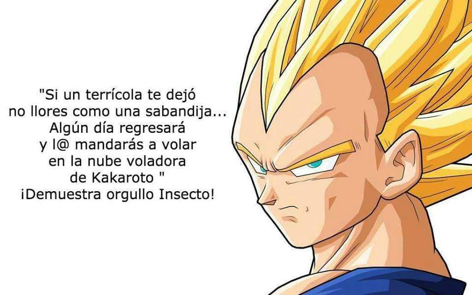 Consejo de vegeta | DRAGON BALL ESPAÑOL Amino