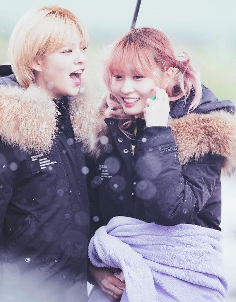 Twice In The Snow Twice 트와이스 ㅤ Amino