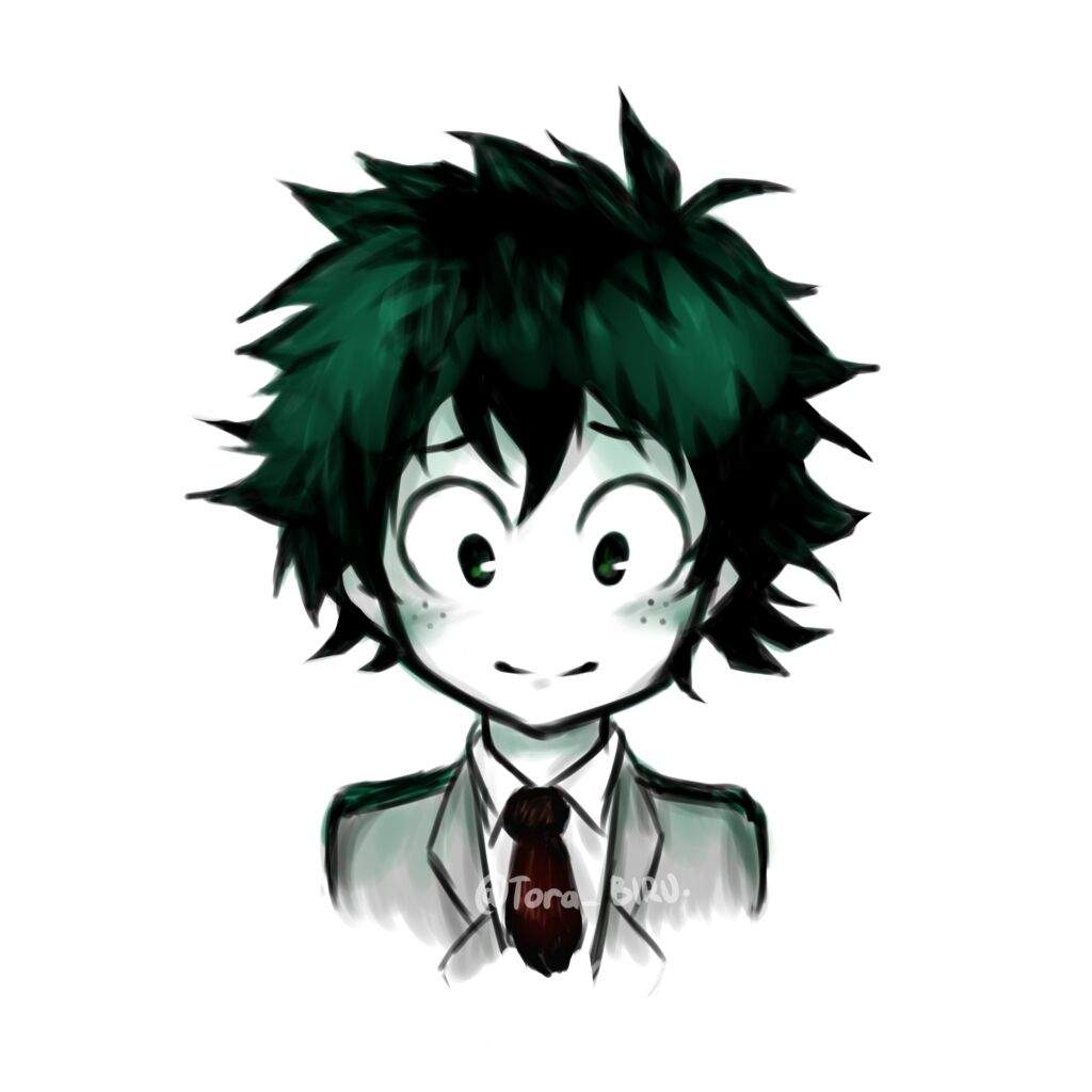 boku no hero personagens midoriya