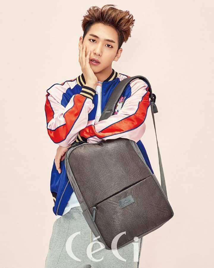 Cha Sunwoo aka Baro Wiki B1A4 AMINO Amino