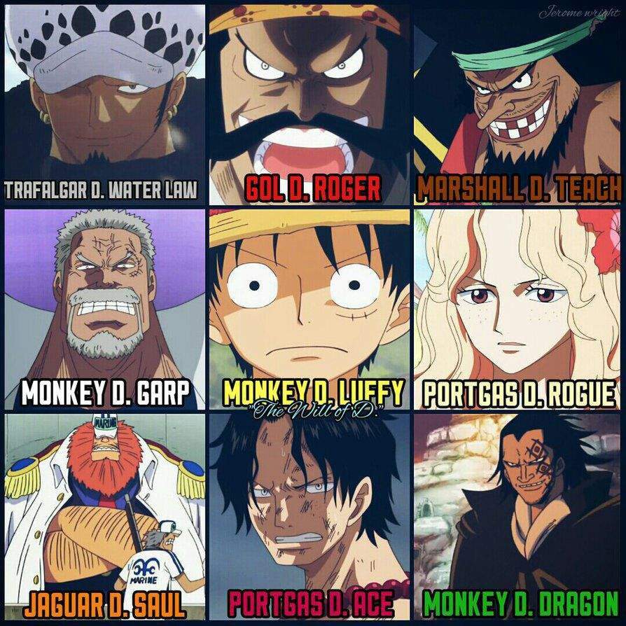 Monkey D. Dragon | Wiki | •One Piece• Amino